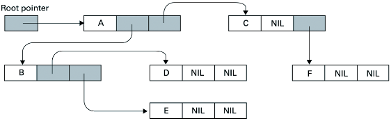 rappresentazione dell'albero binario ordinato in esempio