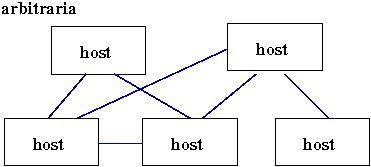 rete con topologia arbitraria