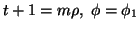 $ t+1=m \rho,\; \phi=\phi_1$