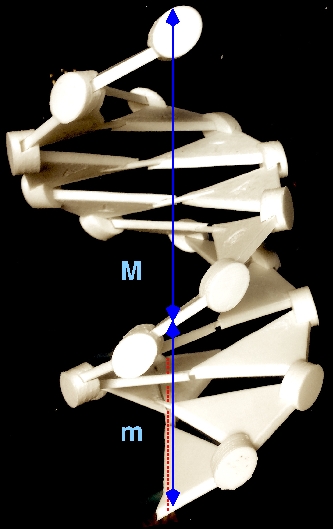 Primo prototipo di modello DNA in stampa 3D