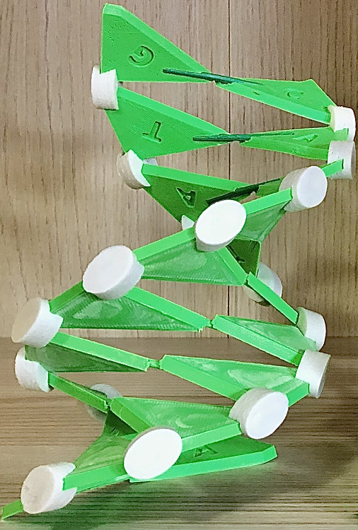 prototipo in Kyotoflex+PLA