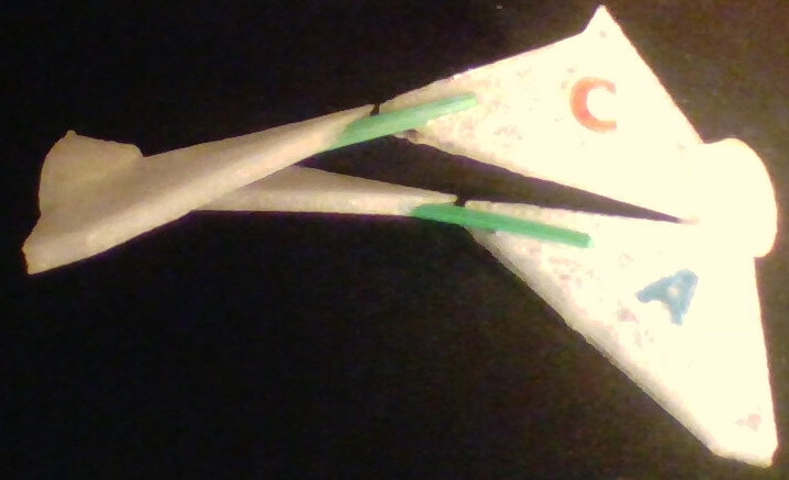 due coppie concatenate di monomeri appaiati con etichette a colori